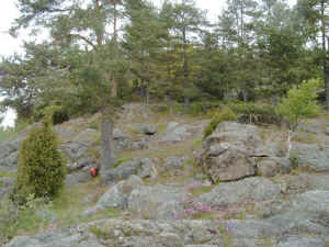 3Norwegen_Do2.jpg (87147 Byte)