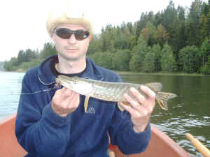 3Norwegen_Do98.jpg (84666 Byte)