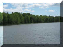 6_Mi_010.jpg (94185 Byte)
