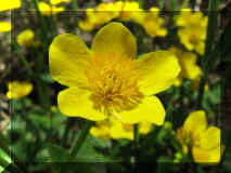 7_D0_006.jpg (69683 Byte)