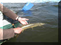 8Onsdag_024.jpg (92202 Byte)