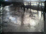 Hochwasser Niedermittlau Bruecke