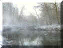 Hochholz im Dezember '05